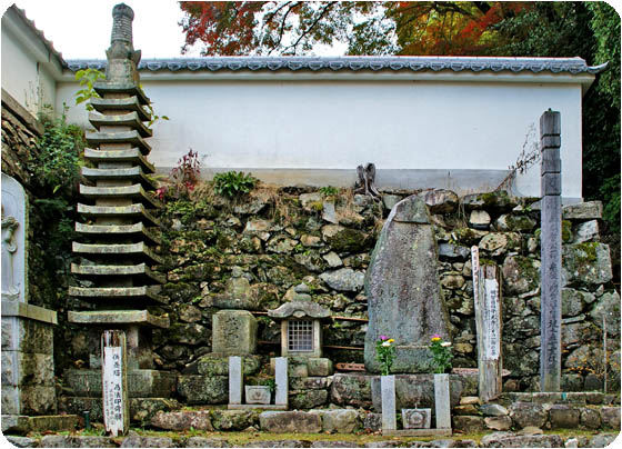 西教寺麒麟がくる3