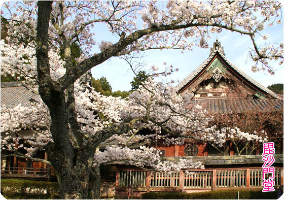 京都の寺院3毘沙門堂