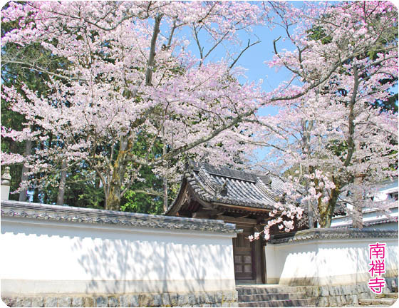 京都の観光ガイド3桜南禅寺