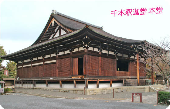 京都の寺院阿亀桜3