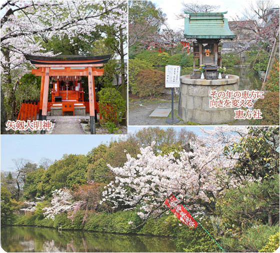 京都の観光3神泉苑