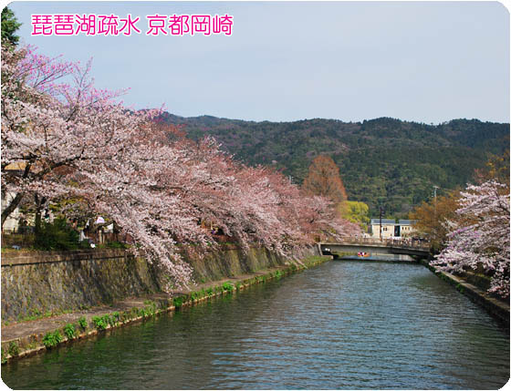 京都の観光疏水3