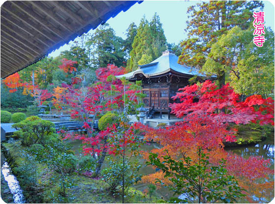 京都の寺院紅葉釈迦堂3