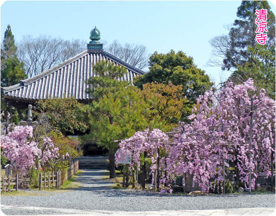京都の観光ガイド下桜清涼寺