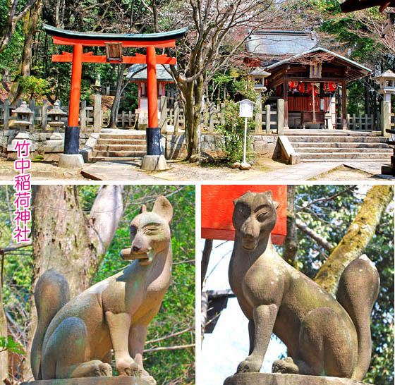 京都の観光桜3竹中