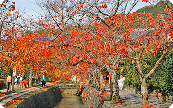京都の観光哲学の道4