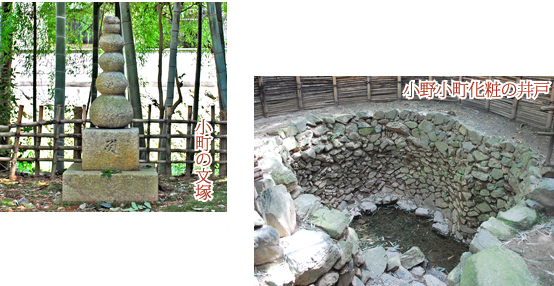 京都の観光梅随心院4