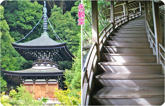 京都観光ガイド3永観堂