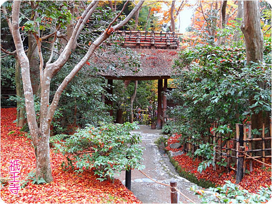 京都観光ガイド3祗王寺