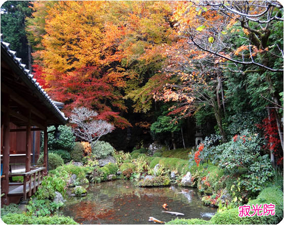 京都観光ガイド3寂光院
