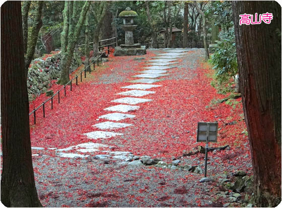 京都観光ガイド下高山寺