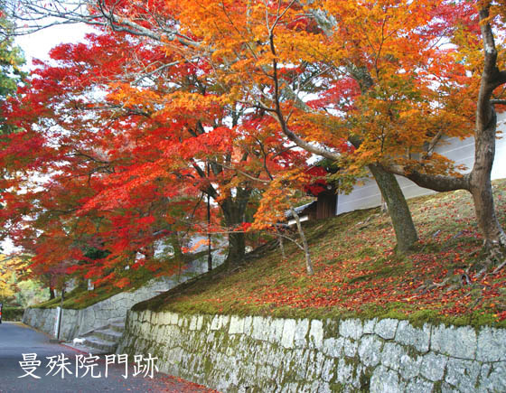 京都観光ガイド3曼殊院