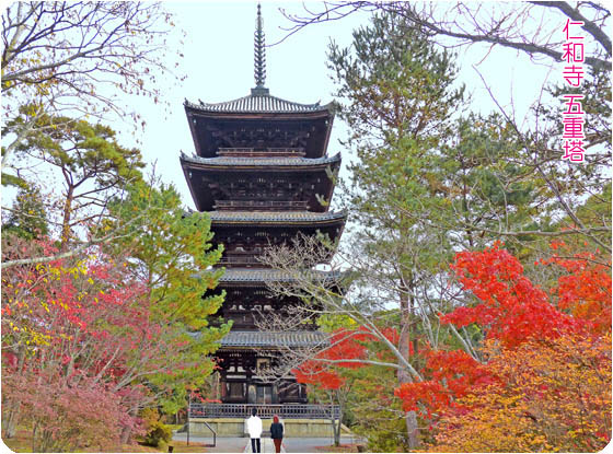 京都の寺院仁和寺3