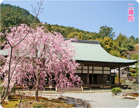 京都の寺院3二尊院
