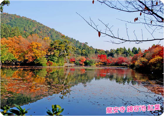 京都の寺院3龍安寺