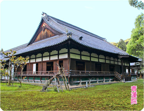 京都の寺院青蓮院3