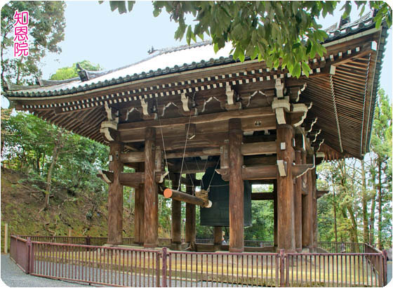 京都観光3知恩院