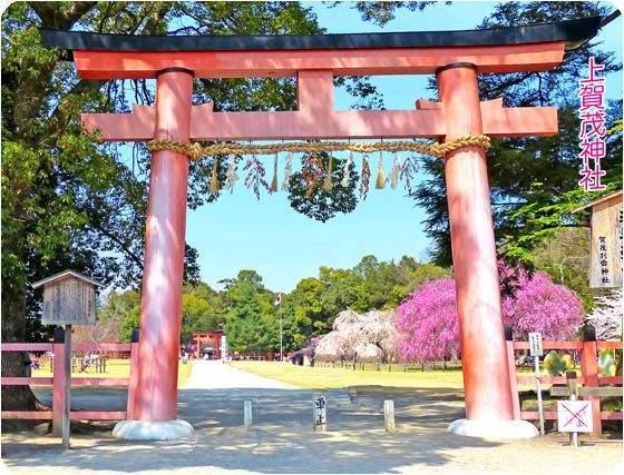 京都観光上賀茂神社1