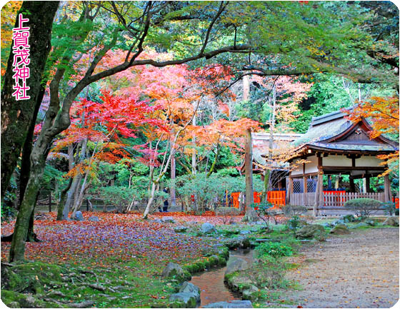 京都観光上賀茂神社4