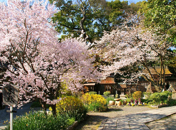 京都御苑宗像神社3