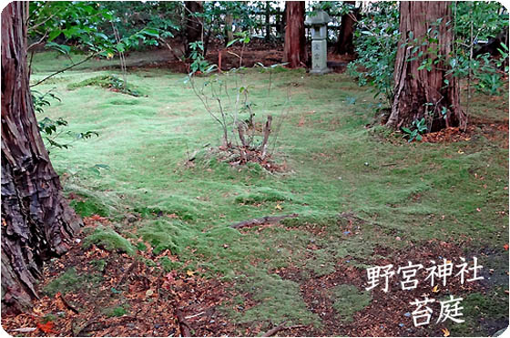 嵯峨野野宮4