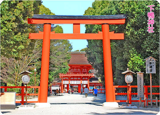 京都観光下鴨神社1