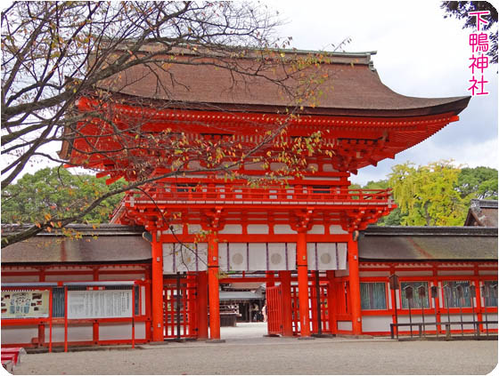 京都観光下鴨神社2