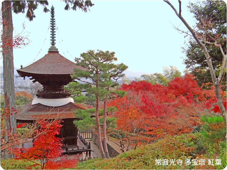 京都の秋常寂光3