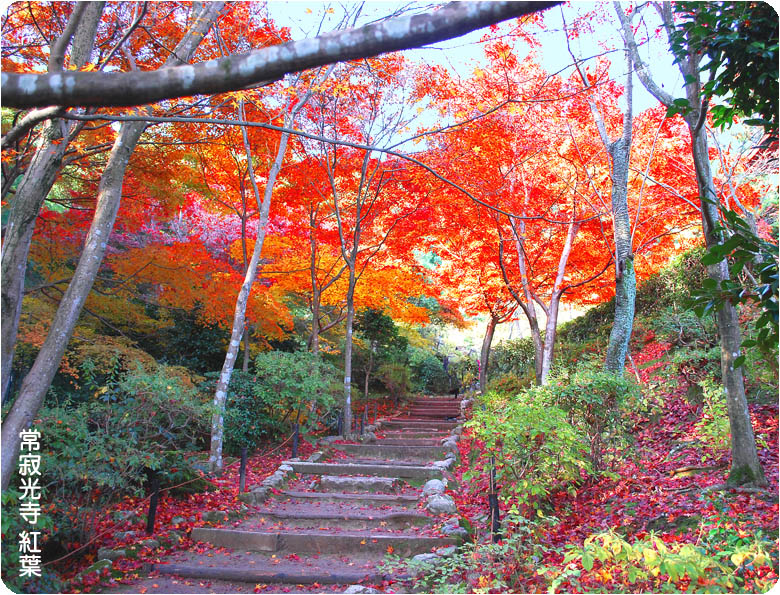 京都の秋常寂光4