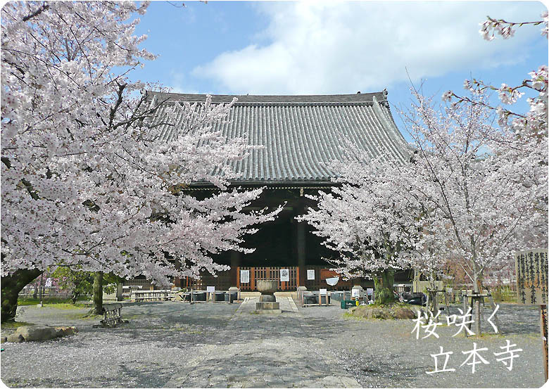 京都のお寺立本寺1